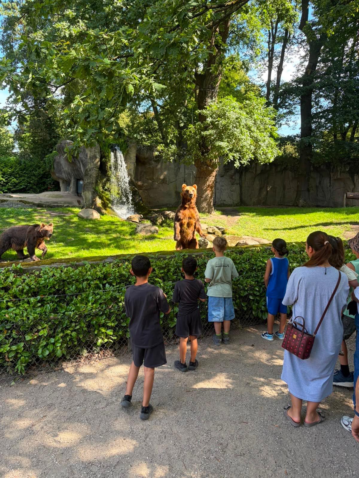 Ein erlebnisreicher Tag im Tierpark Hagenbeck - Bild 2